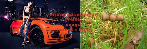 mix Алексеевка